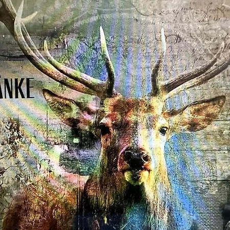 Rehtraenke 22 D * Lingen